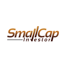 SmallCap-Investor
