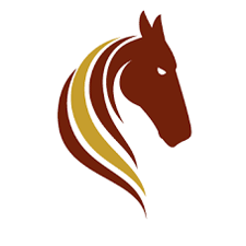 Pasofino Gold Ltd.