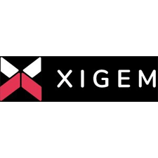Xigem Technologies Corporation